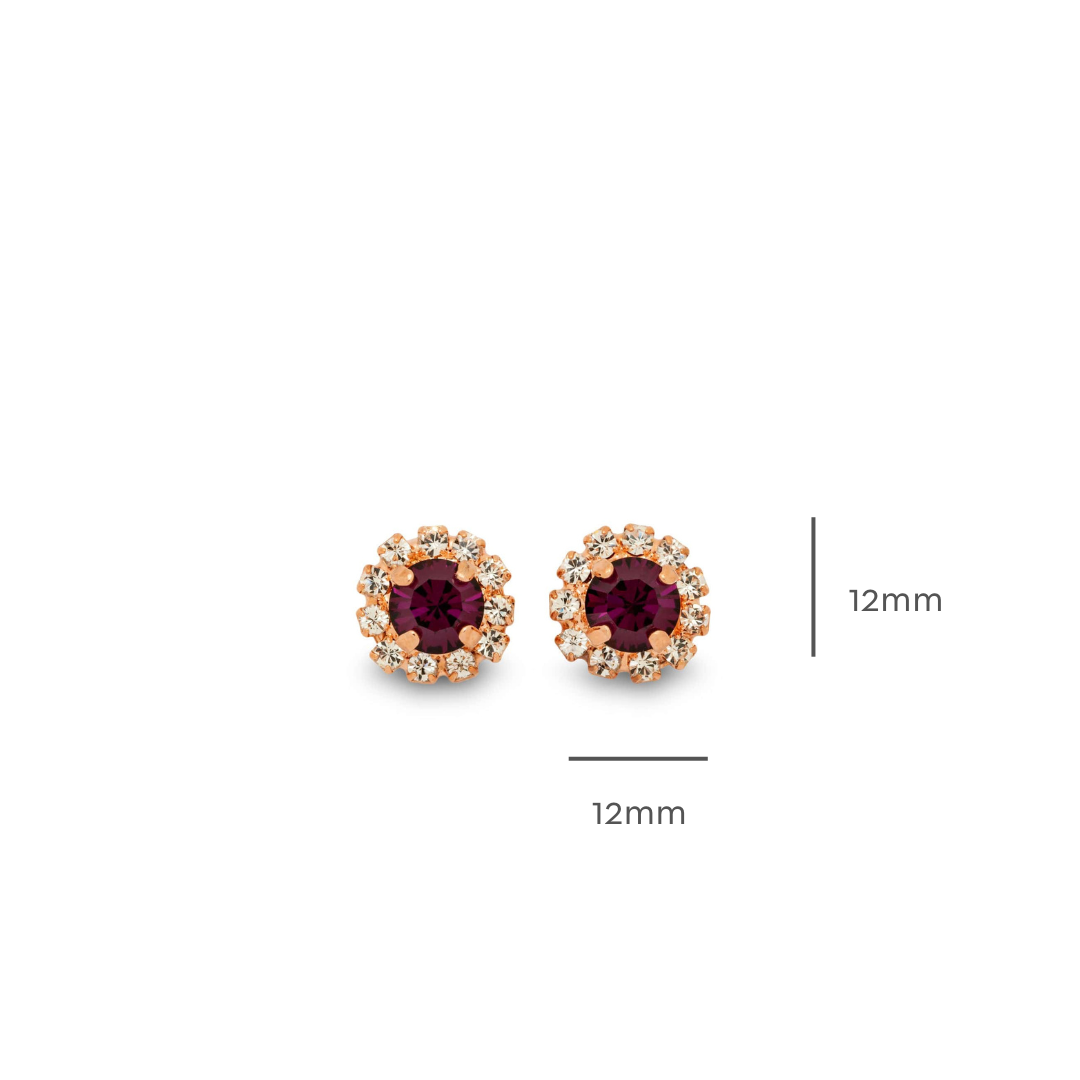 Esme Amethyst Stud Earrings