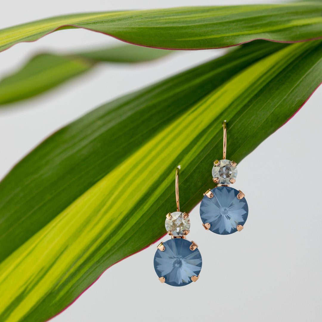 Pair of blue crystal earrings on a green leaf background