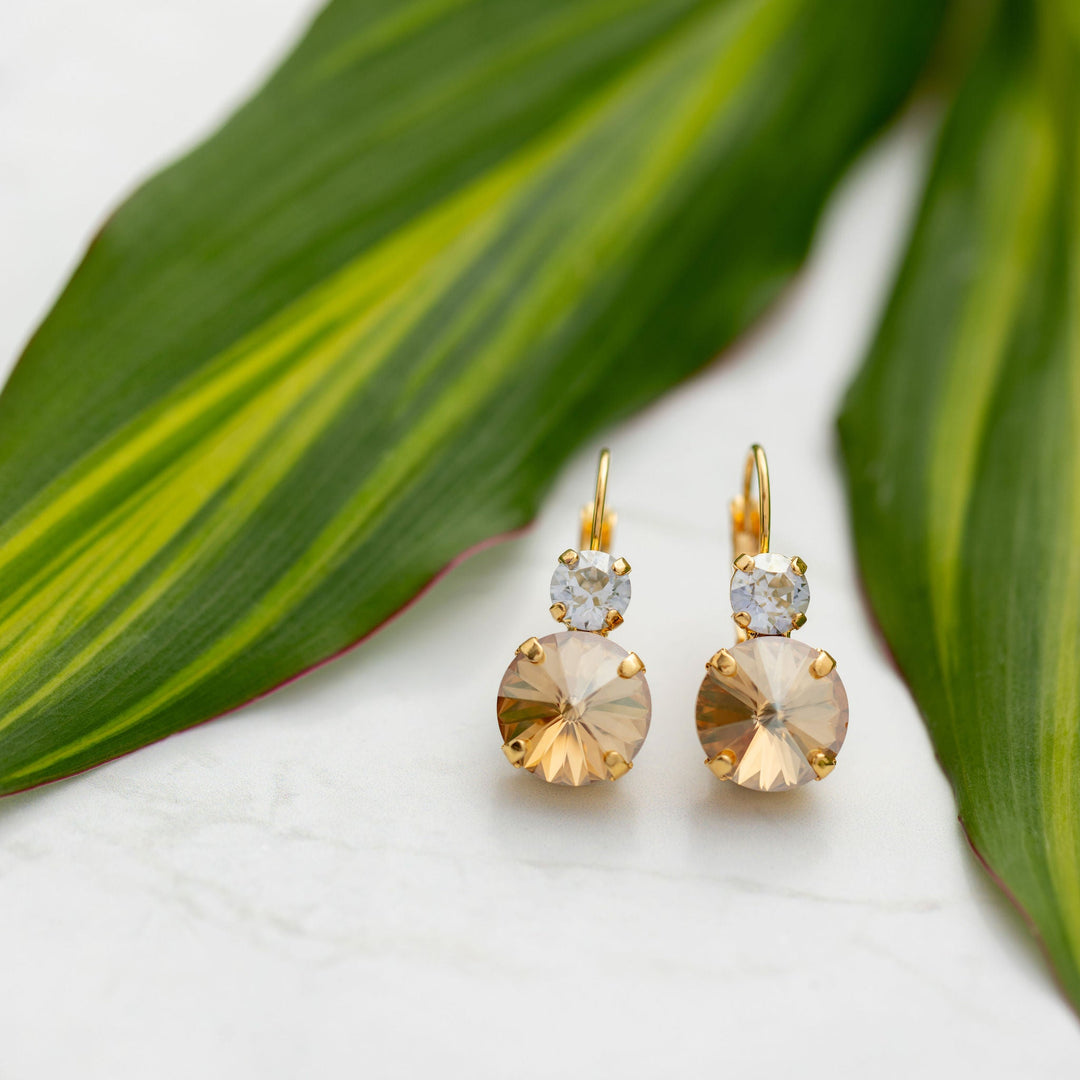 Gold earrings with champagne and blue crystals on a white surface with green leaves in the background